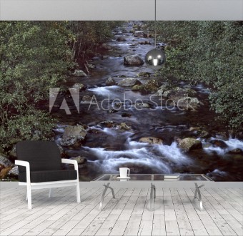 Picture of Remote mountain river